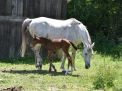 DSC_0751.JPG