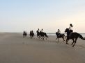 dsc_1393.jpg